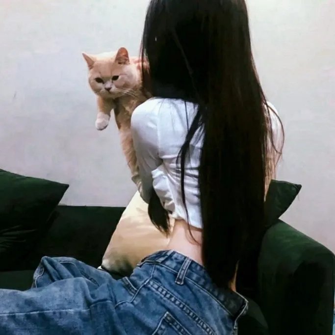 舞径