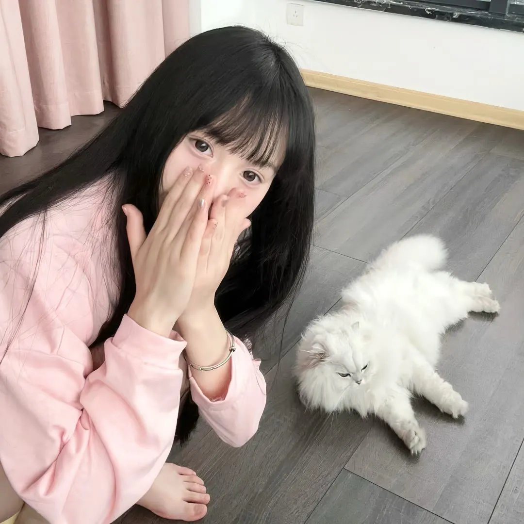 圣物秘闻录